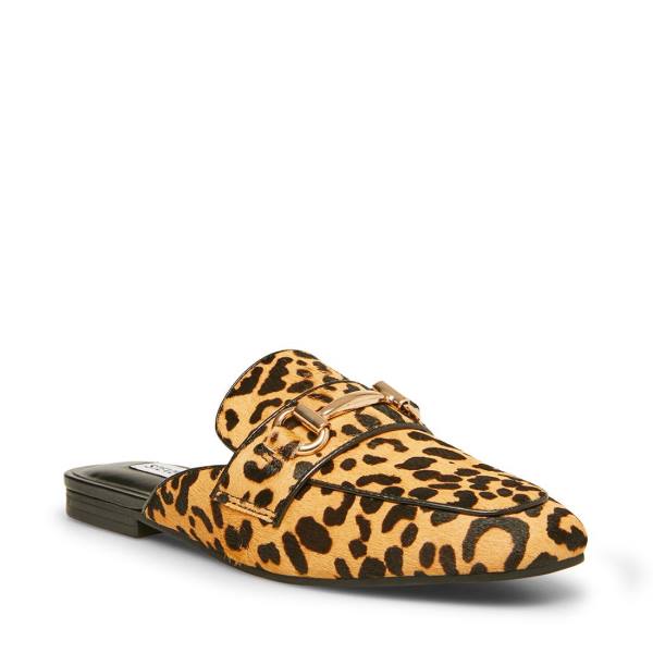 Dámské Baleríny Steve Madden Rylie Leopard Leopard | SM-087ZU