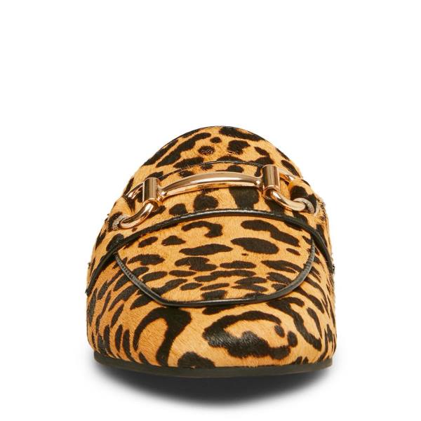 Dámské Baleríny Steve Madden Rylie Leopard Leopard | SM-087ZU