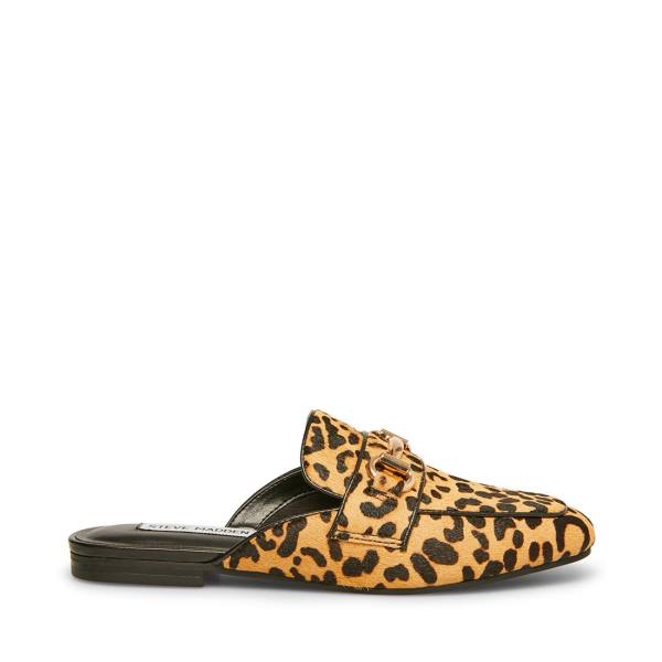 Dámské Baleríny Steve Madden Rylie Leopard Leopard | SM-087ZU