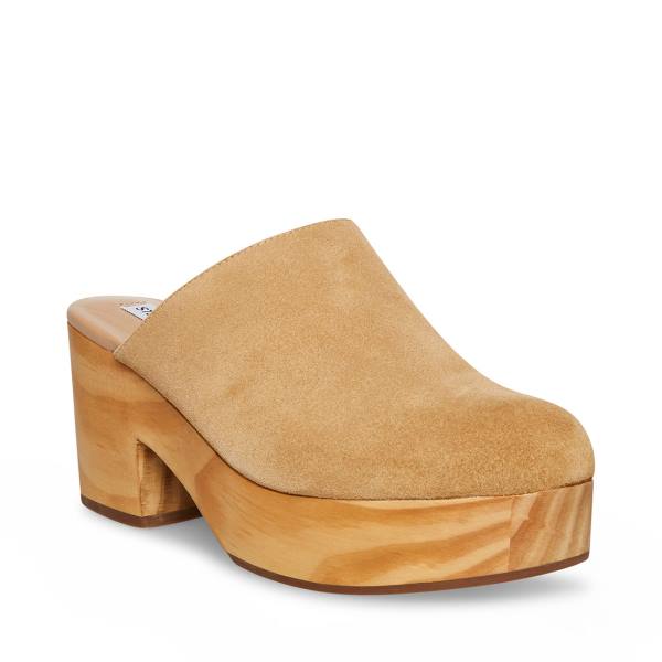 Dámské Lodičky Steve Madden Bayridge Taupe Semišové Heel Šedé Hnědé | SM-476BP