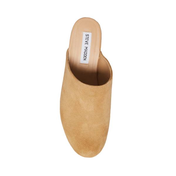 Dámské Lodičky Steve Madden Bayridge Taupe Semišové Heel Šedé Hnědé | SM-476BP