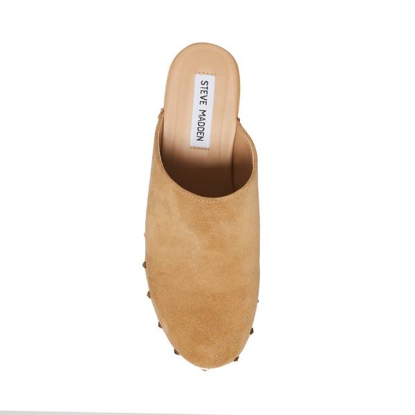 Dámské Lodičky Steve Madden Bushwick Taupe Semišové Heel Šedé Hnědé | SM-694GS