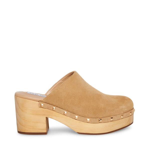 Dámské Lodičky Steve Madden Bushwick Taupe Semišové Heel Šedé Hnědé | SM-694GS