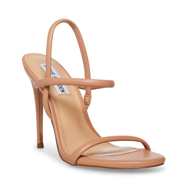 Dámské Lodičky Steve Madden Carolena Tan Heel Hnědé | SM-837GW