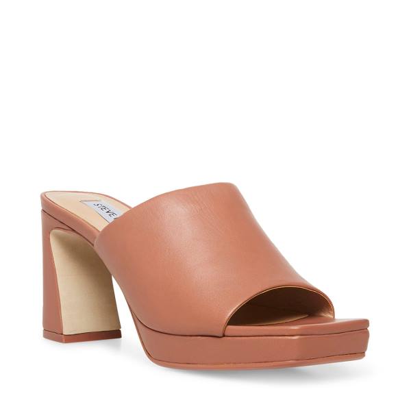 Dámské Lodičky Steve Madden Dedicate Blush Læder Heel Růžové | SM-586IX