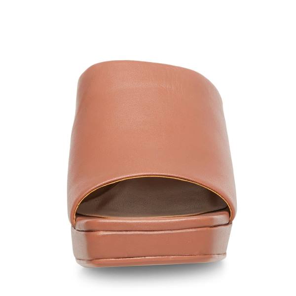 Dámské Lodičky Steve Madden Dedicate Blush Læder Heel Růžové | SM-586IX