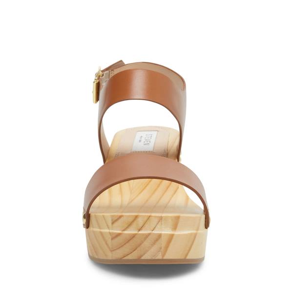 Dámské Lodičky Steve Madden Fabee Cognac Læder Heel Hnědé | SM-024HP