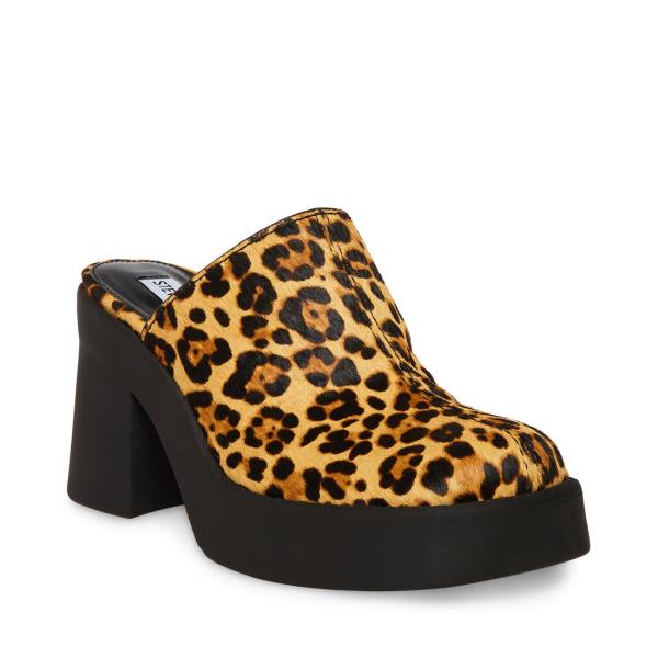 Dámské Lodičky Steve Madden Kam Leopard Heel Leopard | SM-831EW