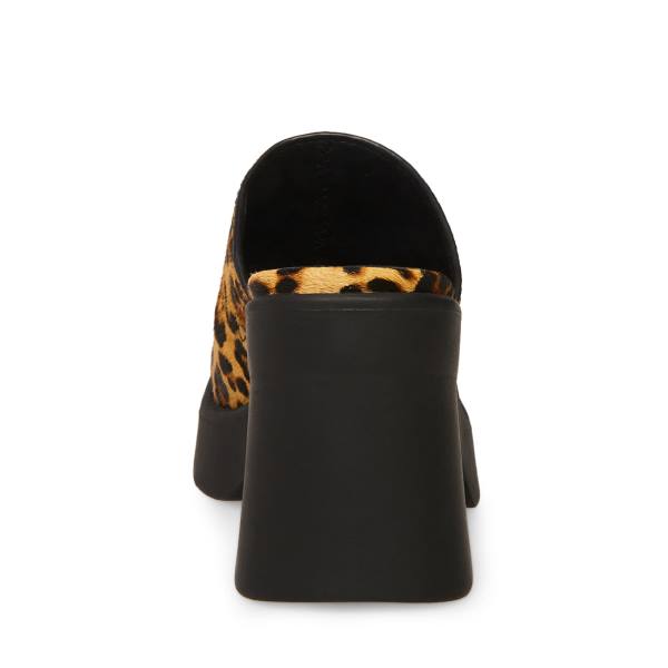 Dámské Lodičky Steve Madden Kam Leopard Heel Leopard | SM-831EW