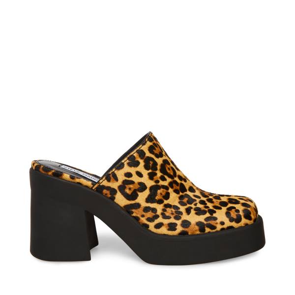 Dámské Lodičky Steve Madden Kam Leopard Heel Leopard | SM-831EW