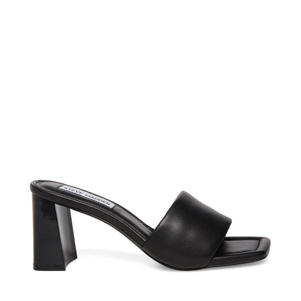 Dámské Lodičky Steve Madden Lexie Heel Černé | SM-963VU