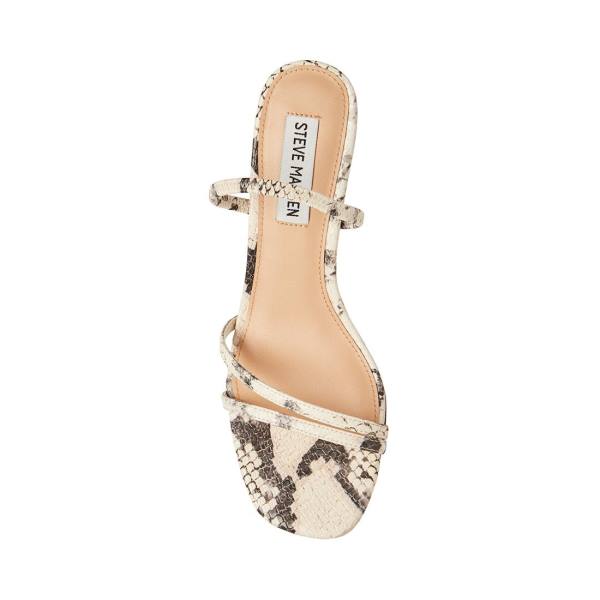 Dámské Lodičky Steve Madden Loft Snake Heel Béžový Hadí Kůže | SM-586NE