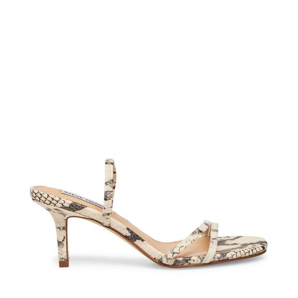 Dámské Lodičky Steve Madden Loft Snake Heel Béžový Hadí Kůže | SM-586NE