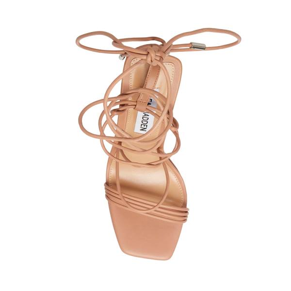 Dámské Lodičky Steve Madden Manzie Tan Heel Hnědé | SM-284RZ