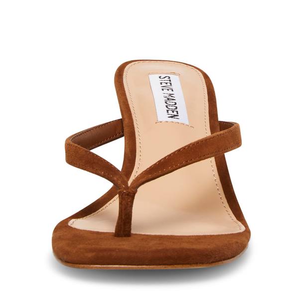 Dámské Lodičky Steve Madden Melrose Chestnut Semišové Heel Hnědé | SM-723RC