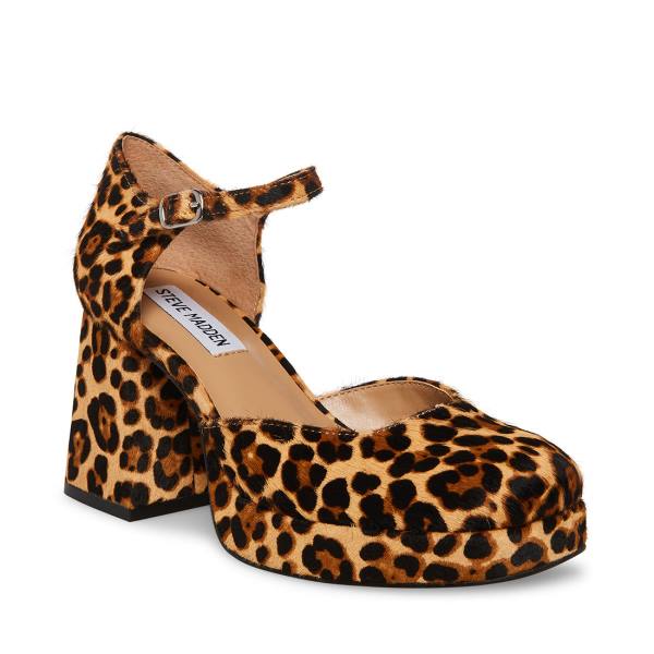 Dámské Lodičky Steve Madden Mimi-l Leopard Heel Leopard | SM-794QZ