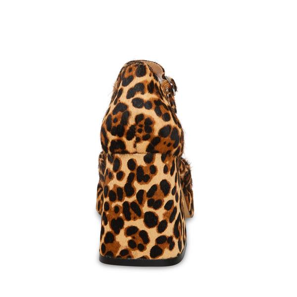 Dámské Lodičky Steve Madden Mimi-l Leopard Heel Leopard | SM-794QZ