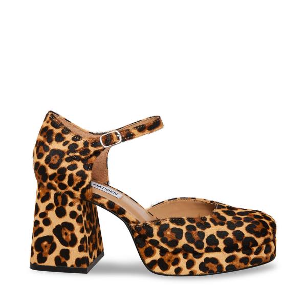 Dámské Lodičky Steve Madden Mimi-l Leopard Heel Leopard | SM-794QZ