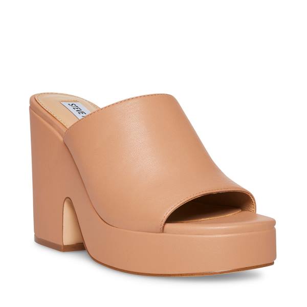 Dámské Lodičky Steve Madden Sally Tan Heel Tmavě Hnědé | SM-763DU