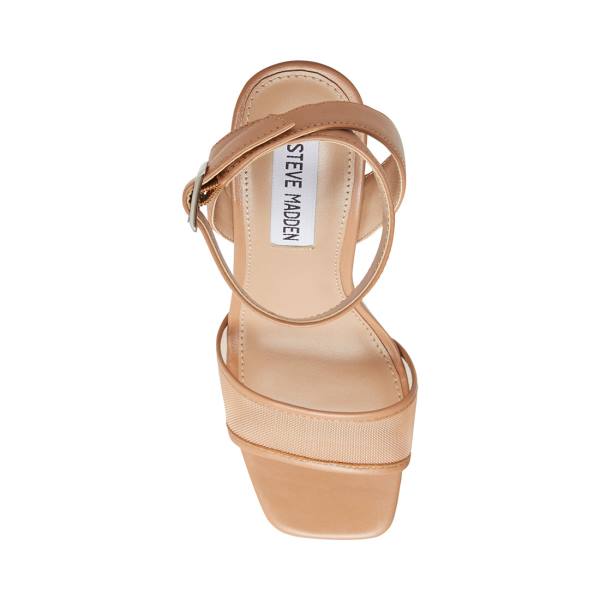 Dámské Lodičky Steve Madden Strategy Blush Læder Heel Růžové | SM-345QC