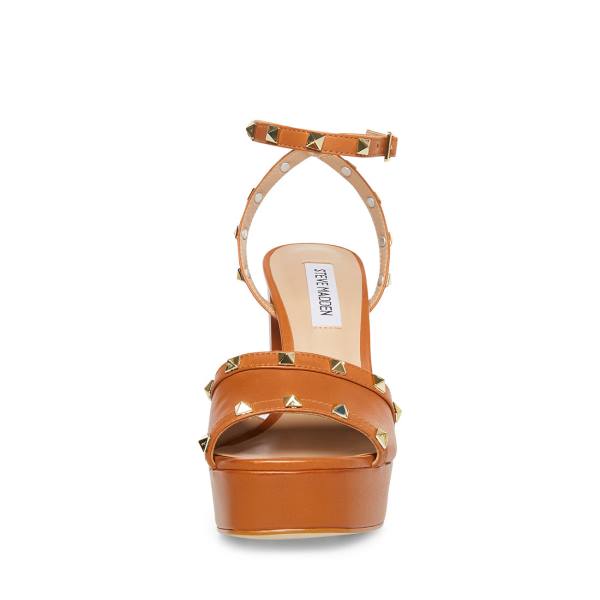 Dámské Lodičky Steve Madden Tabari Cognac Læder Heel Hnědé | SM-897EH