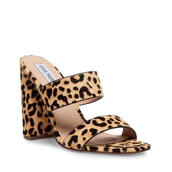 Dámské Lodičky Steve Madden Tegan-l Leopard Heel Leopard | SM-064JC