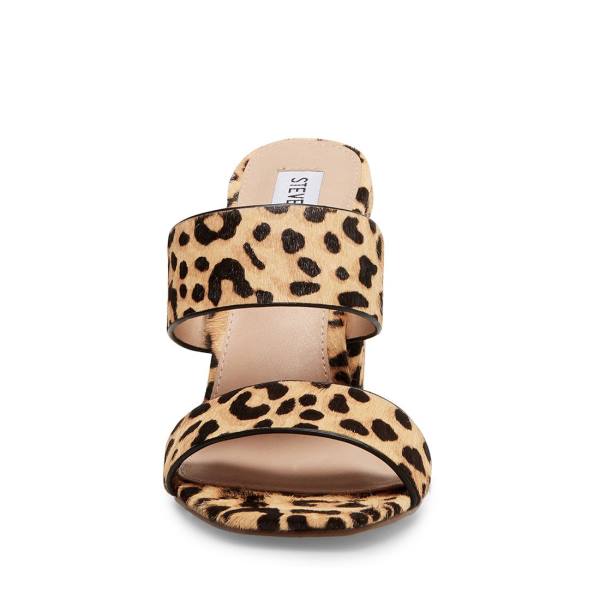 Dámské Lodičky Steve Madden Tegan-l Leopard Heel Leopard | SM-064JC