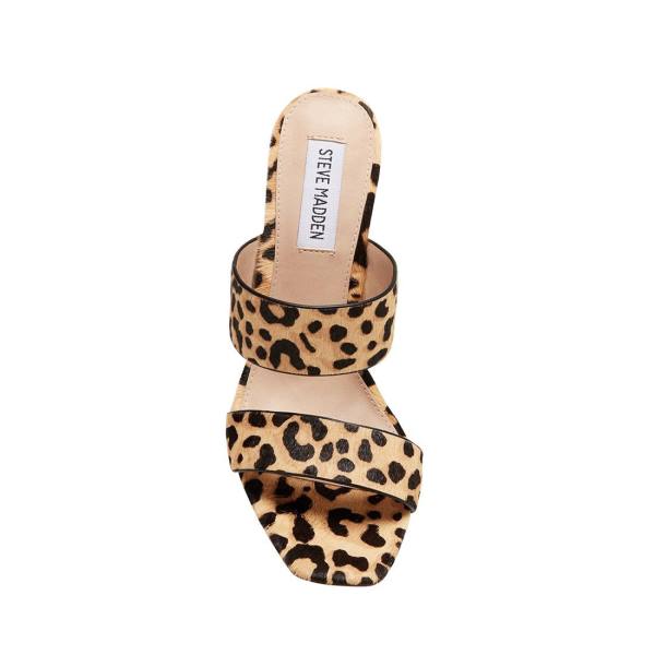 Dámské Lodičky Steve Madden Tegan-l Leopard Heel Leopard | SM-064JC