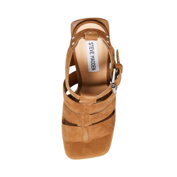 Dámské Lodičky Steve Madden Tribeca Chestnut Semišové Heel Hnědé | SM-069CJ