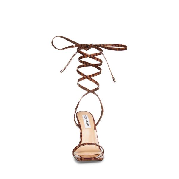 Dámské Lodičky Steve Madden Uplift Camel Heel Hnědé | SM-635AT