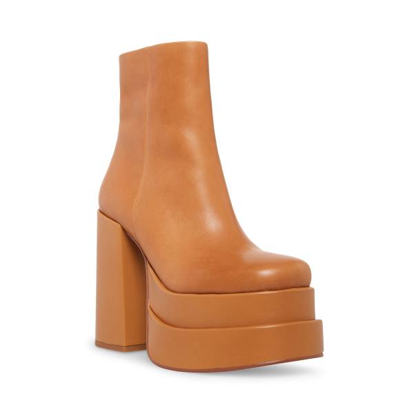 Dámské Nízké Kozačky Steve Madden Cobra Tan Læder Hnědé | SM-154AP