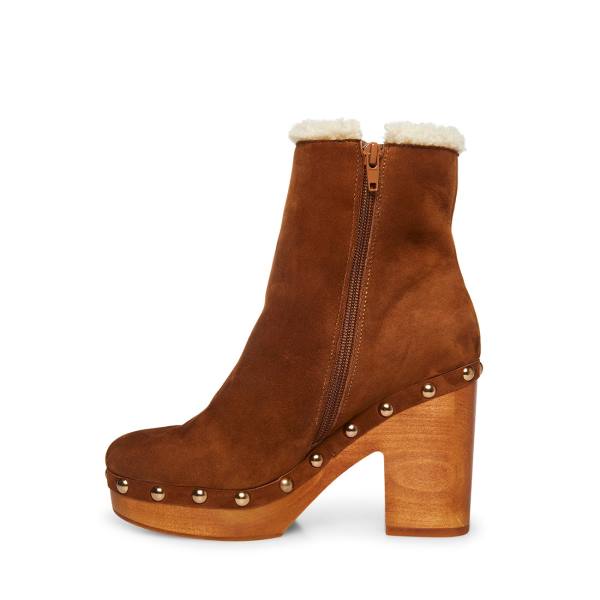 Dámské Nízké Kozačky Steve Madden Kent Chestnut Semišové Hnědé | SM-185IQ