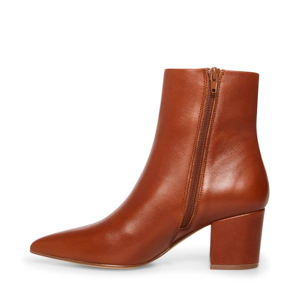 Dámské Nízké Kozačky Steve Madden Ossie Cognac Læder Hnědé | SM-375TN