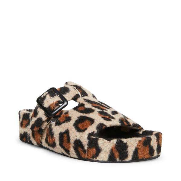 Dámské Pantofle Steve Madden Rizzle Leopard Leopard | SM-480LH