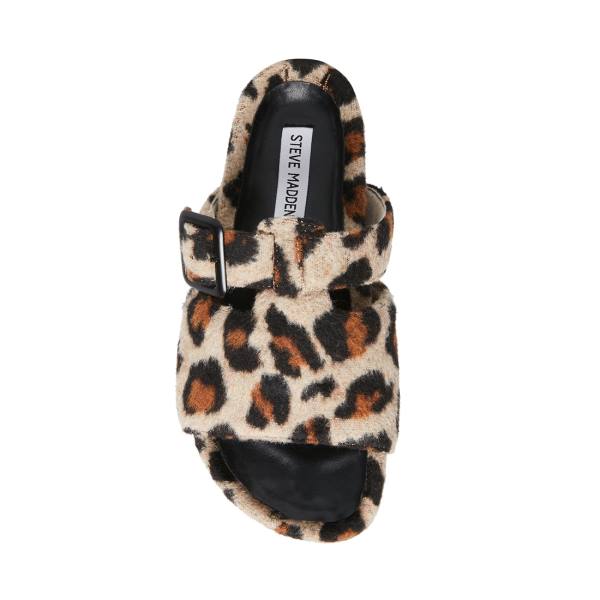 Dámské Pantofle Steve Madden Rizzle Leopard Leopard | SM-480LH