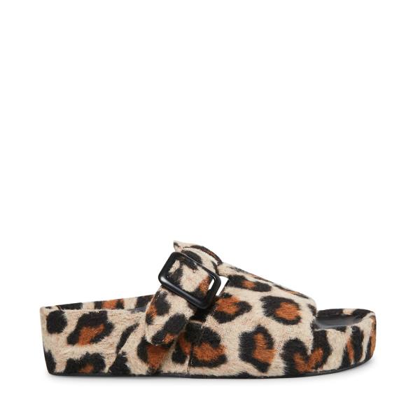 Dámské Pantofle Steve Madden Rizzle Leopard Leopard | SM-480LH