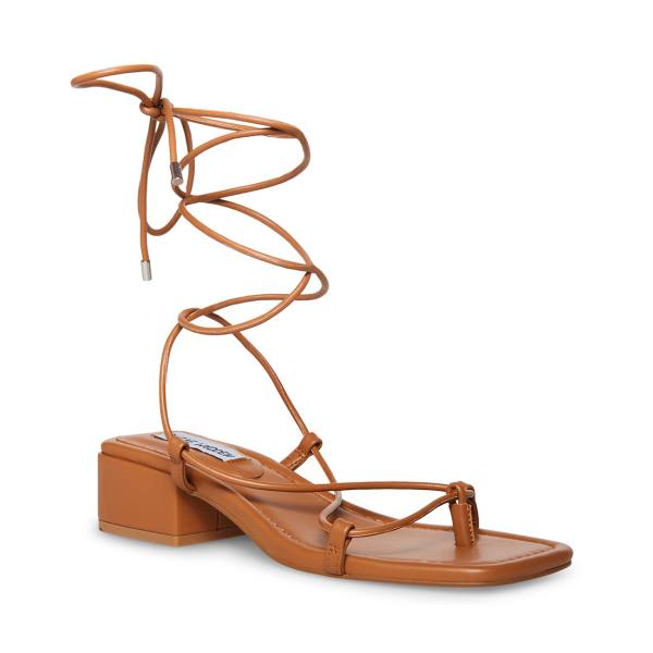 Dámské Sandály Steve Madden Claremont Tan Tmavě Hnědé | SM-520LC