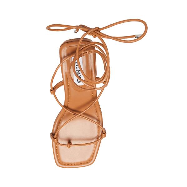 Dámské Sandály Steve Madden Claremont Tan Tmavě Hnědé | SM-520LC