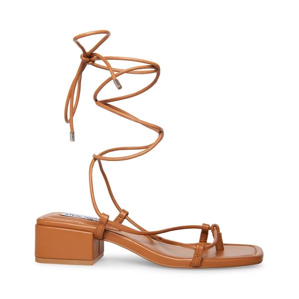 Dámské Sandály Steve Madden Claremont Tan Tmavě Hnědé | SM-520LC