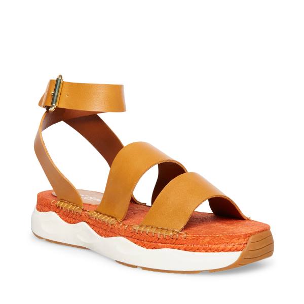 Dámské Sandály Steve Madden Springs Tan Paris Hnědé | SM-760VA