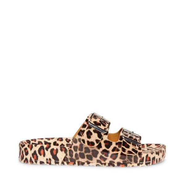 Dámské Sandály Steve Madden Teddy-t Leopard Leopard | SM-045UN