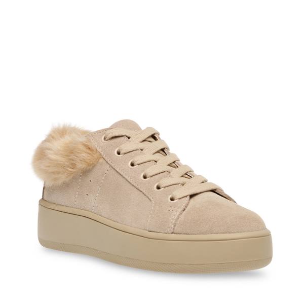 Dámské Tenisky Steve Madden Brenner Tan Hnědé Viacfarebný | SM-694HC