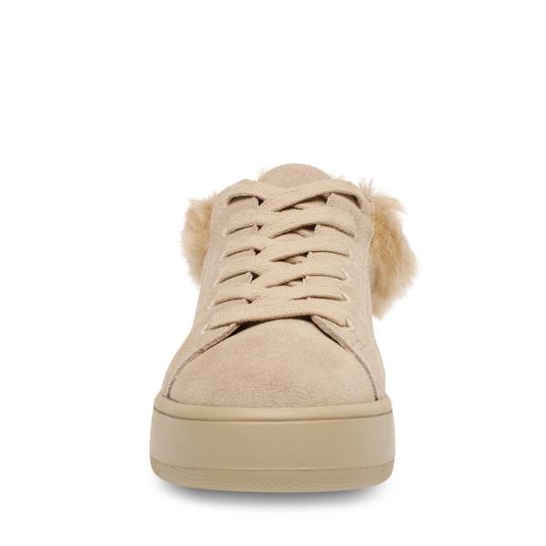 Dámské Tenisky Steve Madden Brenner Tan Hnědé Viacfarebný | SM-694HC