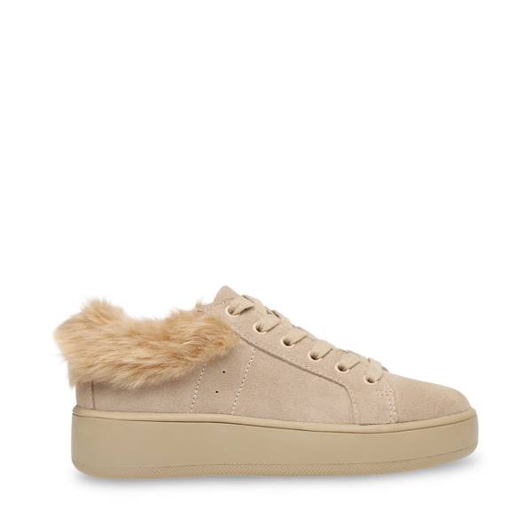 Dámské Tenisky Steve Madden Brenner Tan Hnědé Viacfarebný | SM-694HC