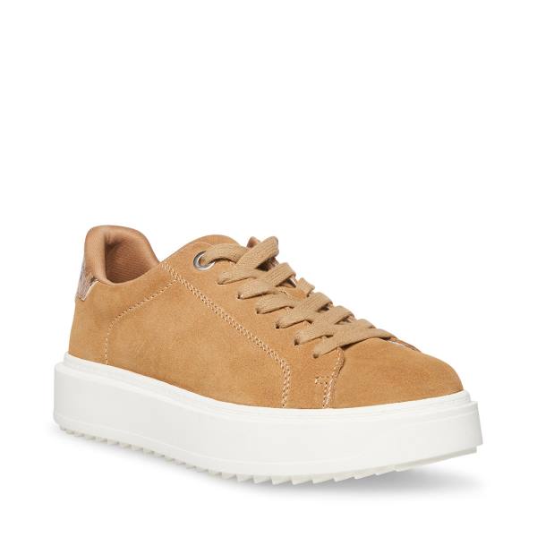 Dámské Tenisky Steve Madden Catcher Taupe Semišové Šedé Hnědé | SM-162AY