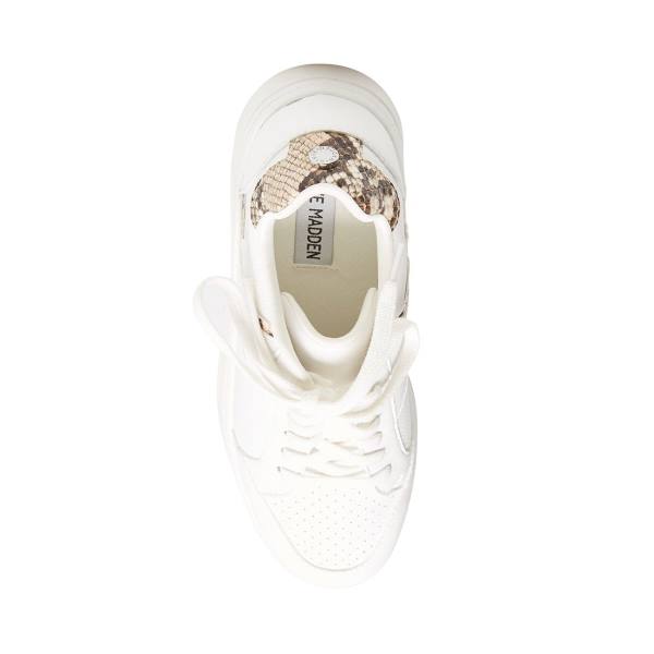 Dámské Tenisky Steve Madden Harmonize Tan Snake Hnědé Hadí Kůže | SM-563WL