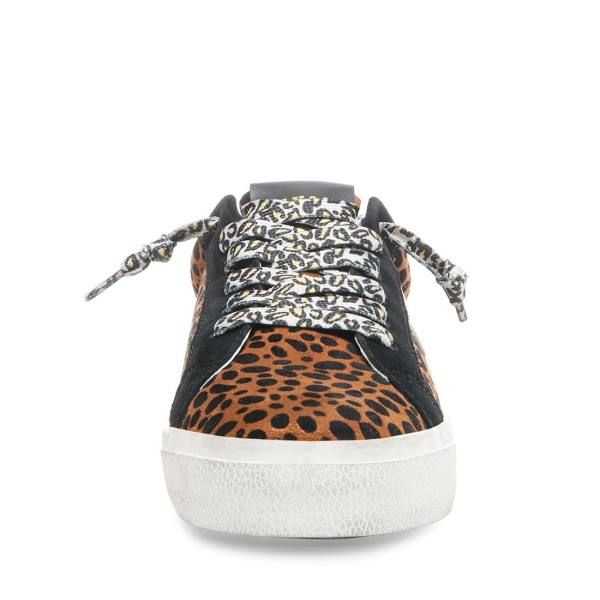 Dámské Tenisky Steve Madden Philosophy Leopard Leopard Viacfarebný | SM-739EP