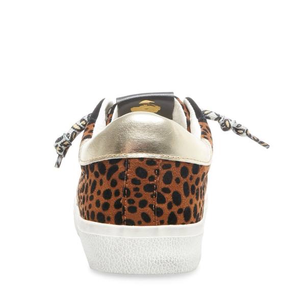 Dámské Tenisky Steve Madden Philosophy Leopard Leopard Viacfarebný | SM-739EP