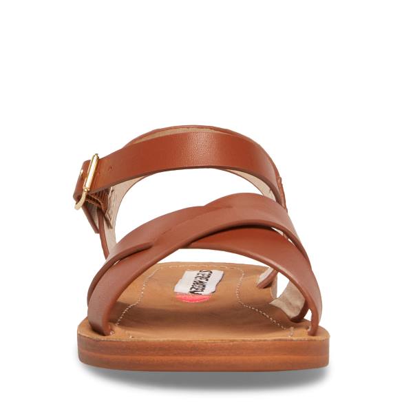 Dětské Sandály Steve Madden Jleague Cognac Hnědé | SM-598AY