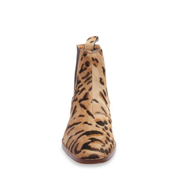 Pánské Boty Steve Madden Dex-p Leopard Leopard | SM-196GN